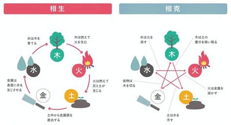 五行理論|五行思想